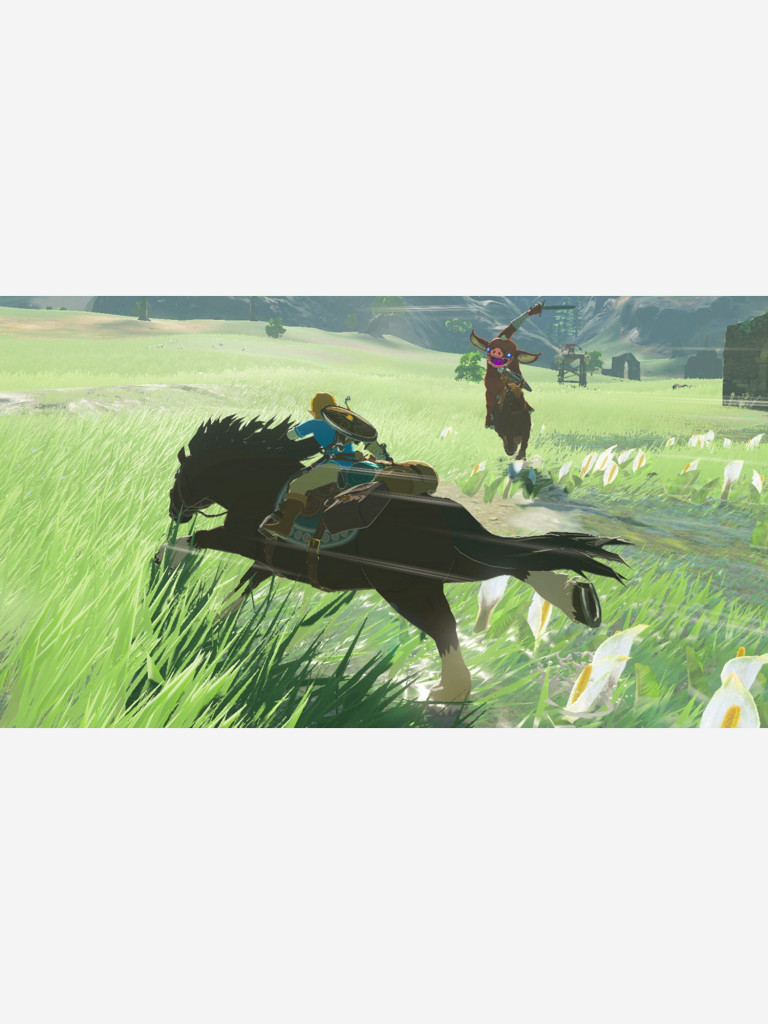 Игра Nintendo Switch The Legend of Zelda: Breath of the Wild