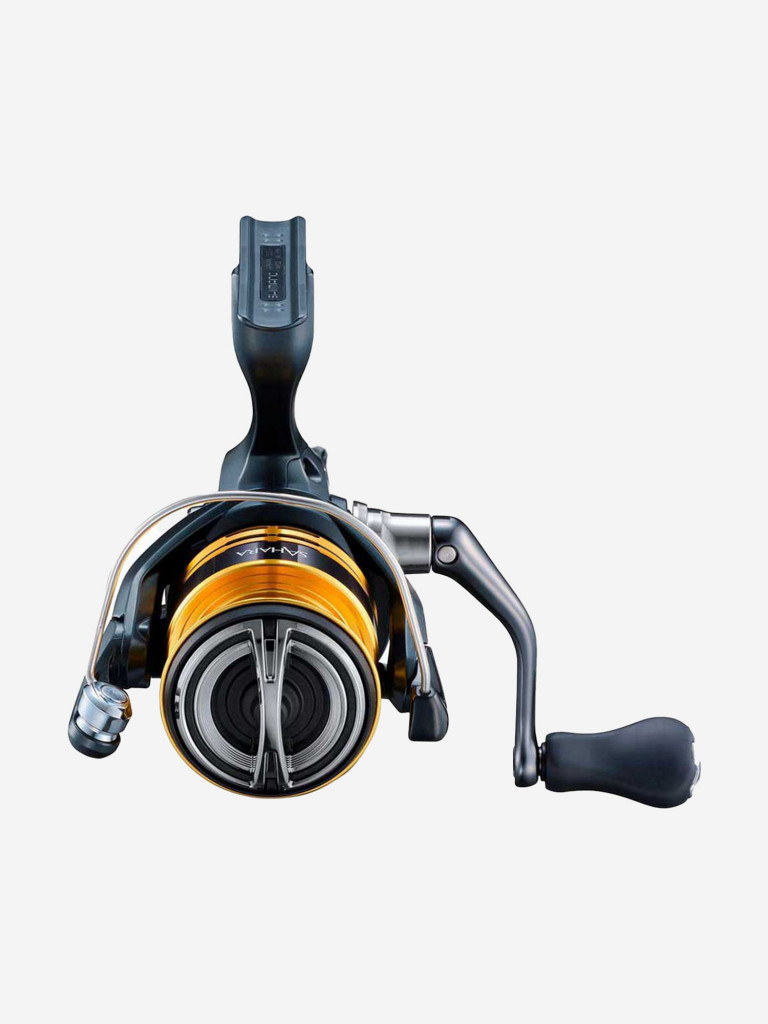 Катушка безынерционная Shimano SAHARA FJ C3000
