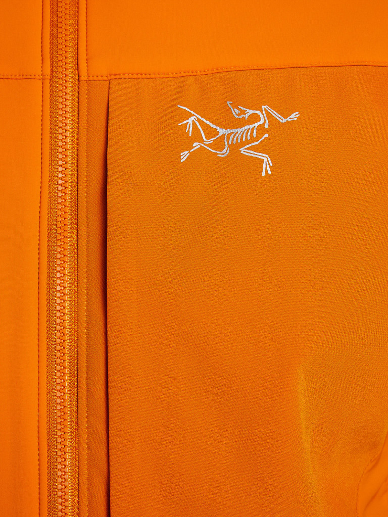 Куртка утепленная мужская Arc'teryx Proton