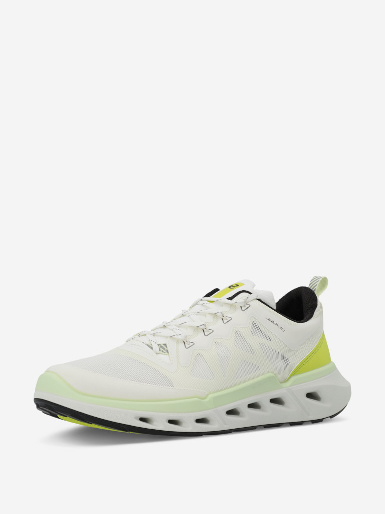 Кроссовки мужские Ecco Biom 720