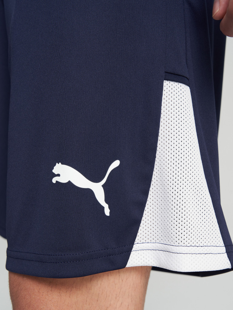 Шорты мужские PUMA Teamliga26