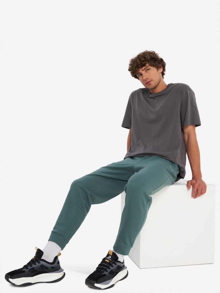 Брюки мужские Demix Workday