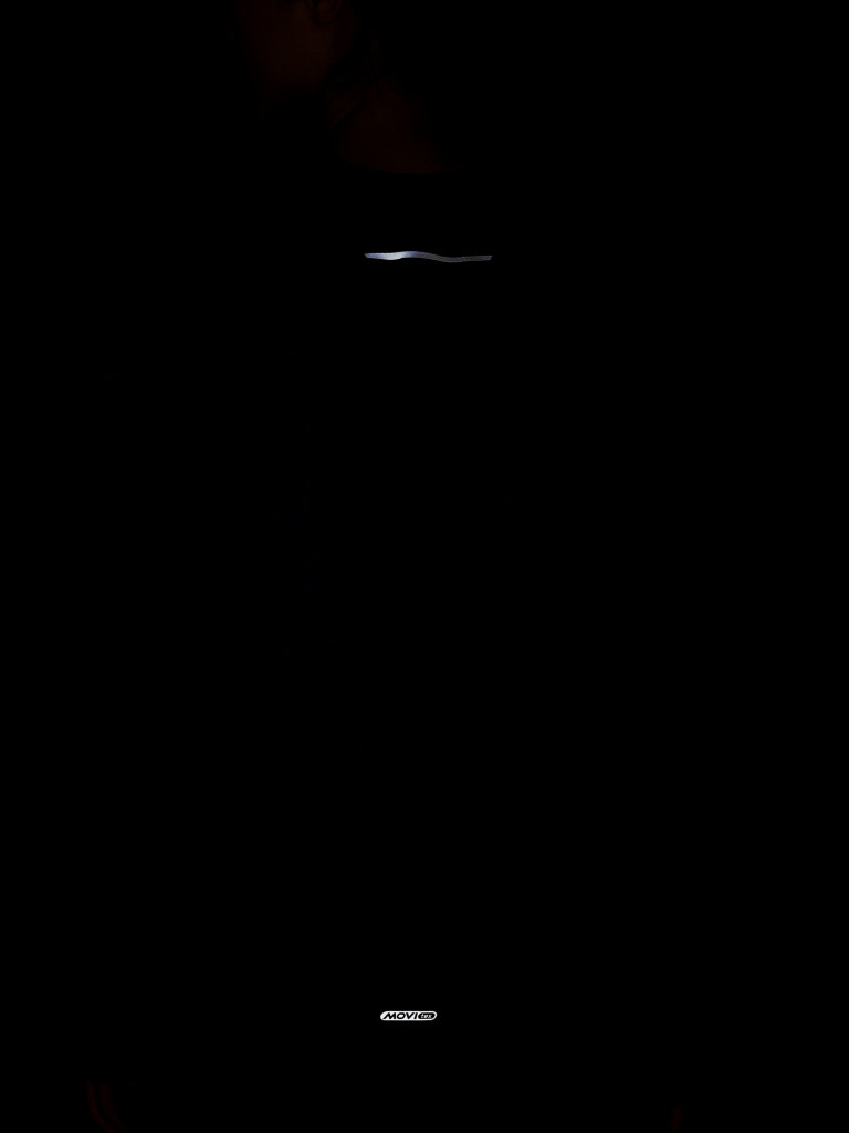 Лонгслив женский Demix