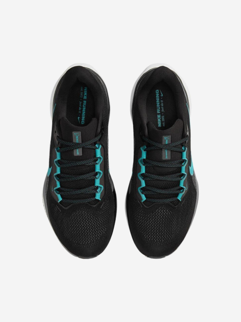 Кроссовки Nike Air Zoom Pegasus 41