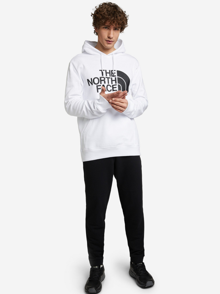 Худи мужское The North Face Standard