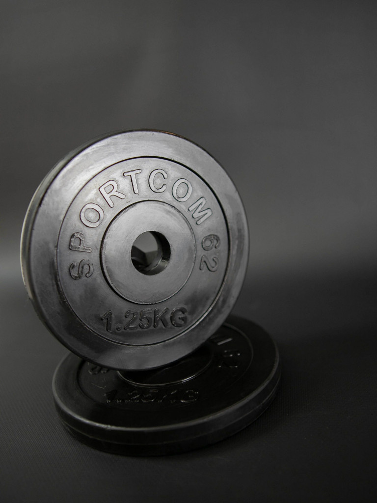 Комплект дисков обрезиненных для гантелей и штанги Sportcom 26мм 1,25кг / 2 шт.