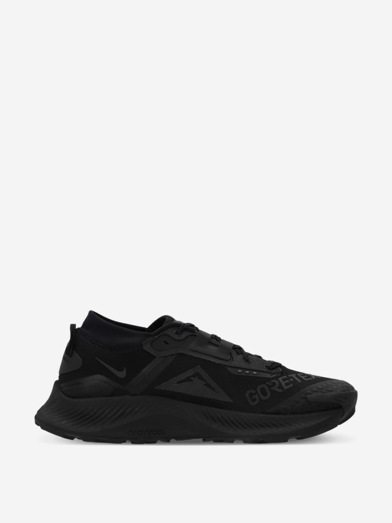 Кроссовки мужские Nike Pegasus Trail Gtx