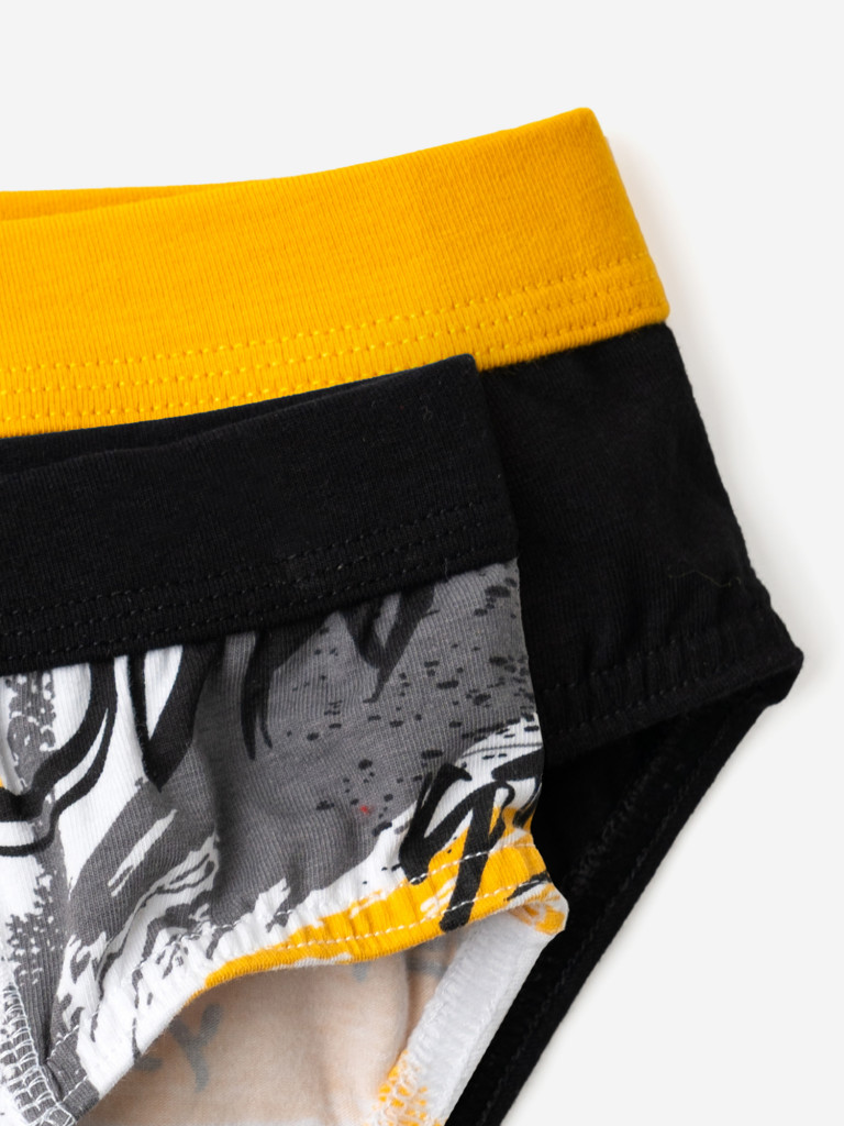 Трусы для мальчиков - брифы, 2 шт PlayToday