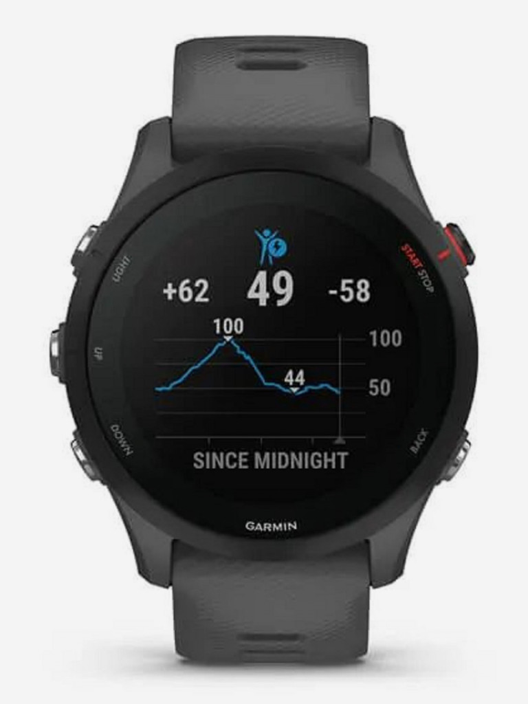 Часы Garmin Forerunner 255 с темно-серым ремешком Slate Grey 010-02641-10