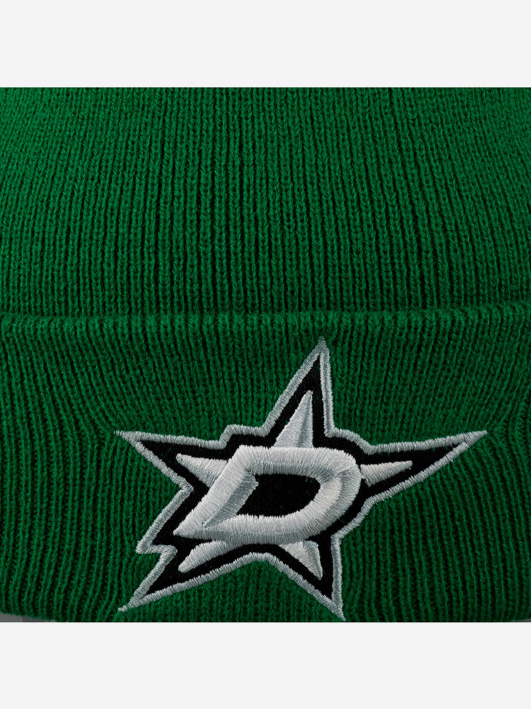 Шапка с отворотом MITCHELL NESS EU175-TEAMTALK-GRN Dallas Stars NHL
