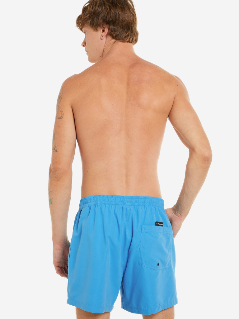 Шорты пляжные мужские Quiksilver Sun Stroke Volley