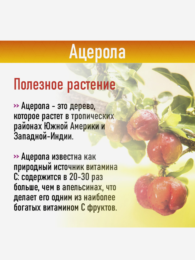 VITAMIN' 22 ACEROLA 1000 / ВИТАМИН' 22 АЦЕРОЛА 1000 (жевательные таблетки массой 2,0 г), 24 шт