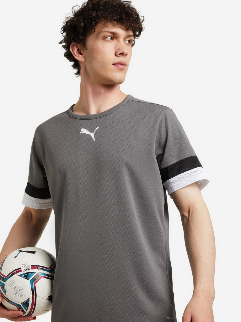Футболка мужская PUMA Teamrise Jersey