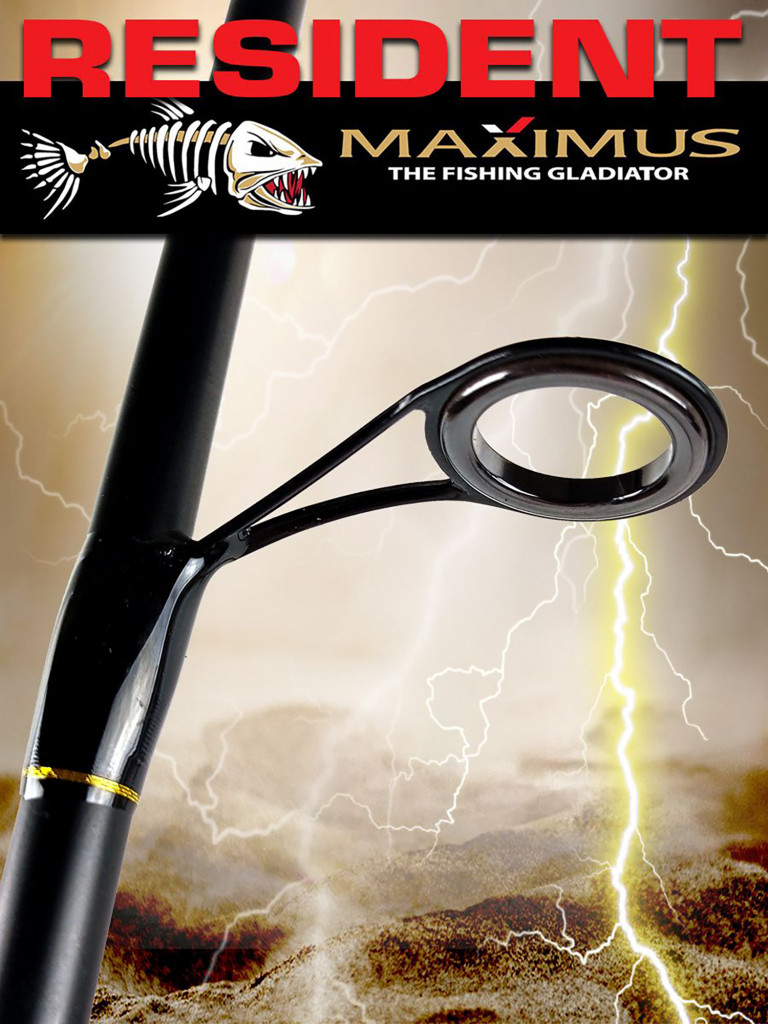 Спиннинг для рыбалки Maximus RESIDENT 27H 2,7m 20-60g