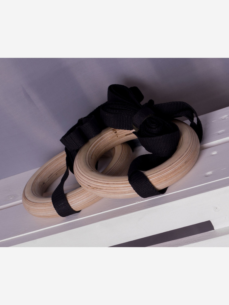 Кольца гимнастические для WORKOUT 2м, SportGid