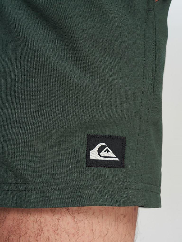 Шорты плавательные мужские Quiksilver Everyday Volley 15
