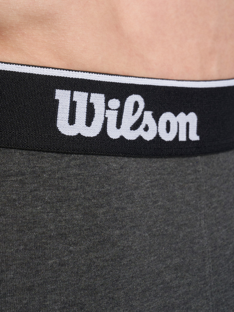 Трусы мужские Wilson, 2 штуки