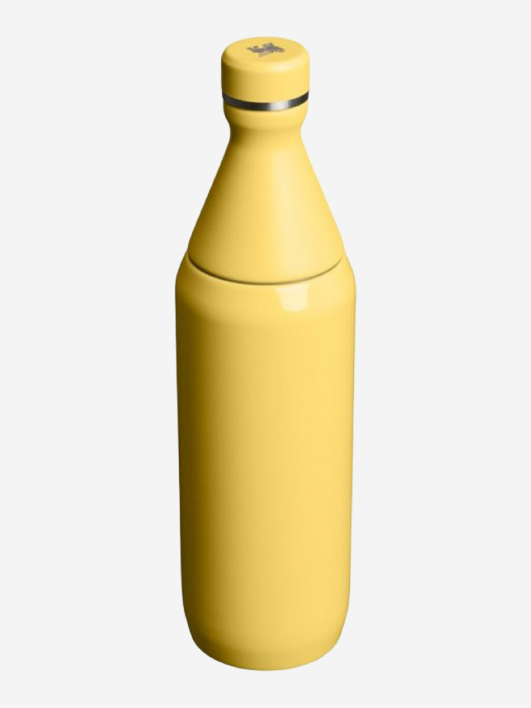 Термобутылка STANLEY ALL DAY SLIM 7OTTLE 0,59L (10-12893-0017) желтая, шт