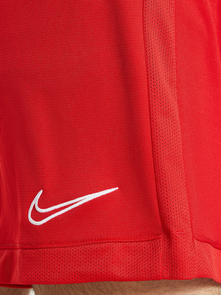 Шорты мужские Nike Academy