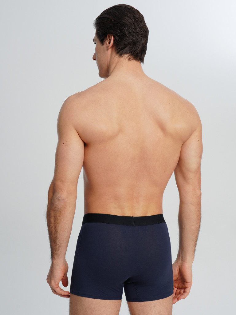 Трусы мужские Demix, 3 штуки