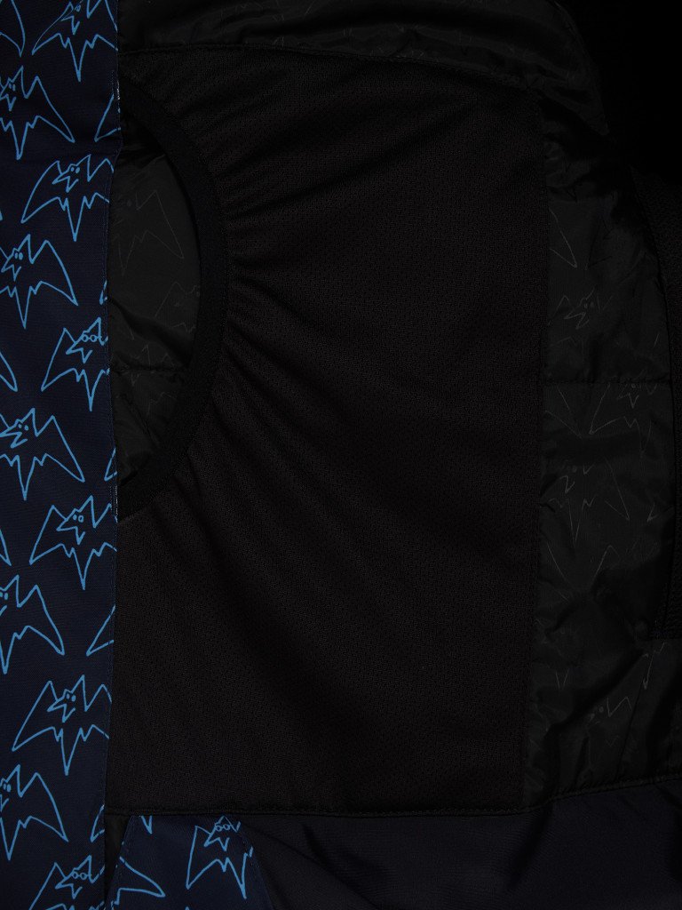 Куртка сноубордическая мужская Airblaster Freedom