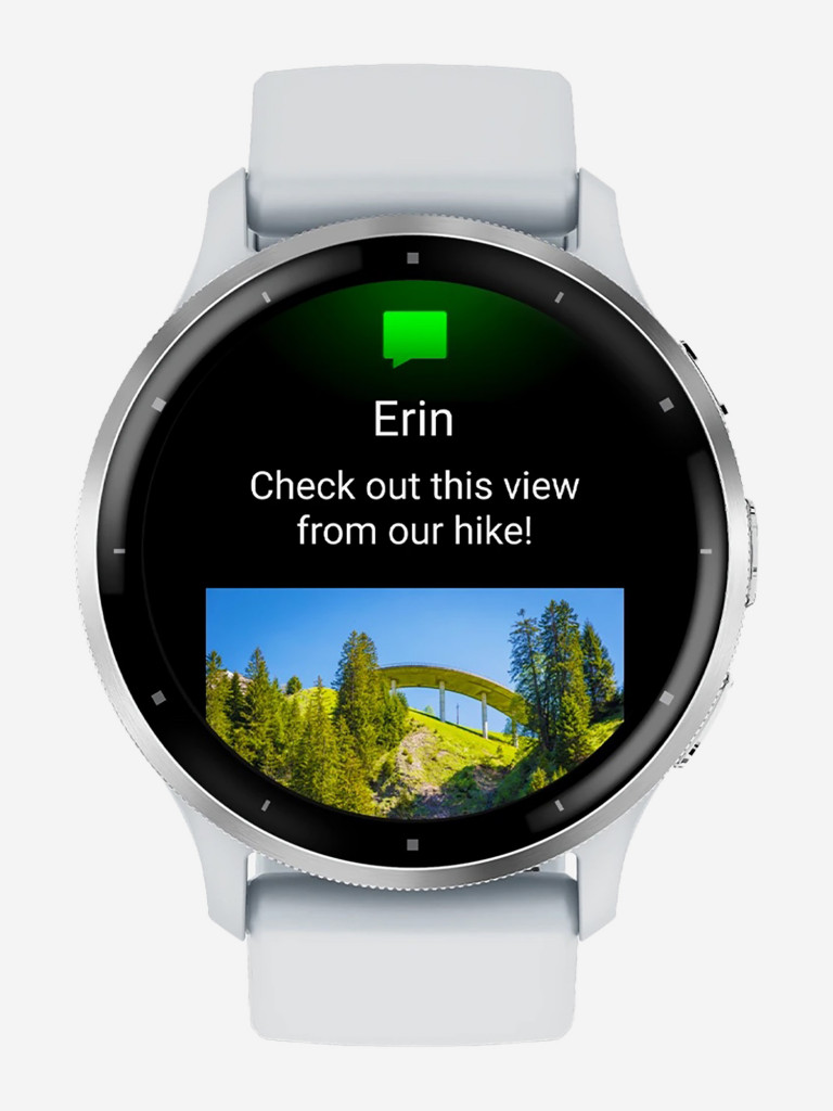Спортивные часы Garmin Venu 3 Whitestone Passivated