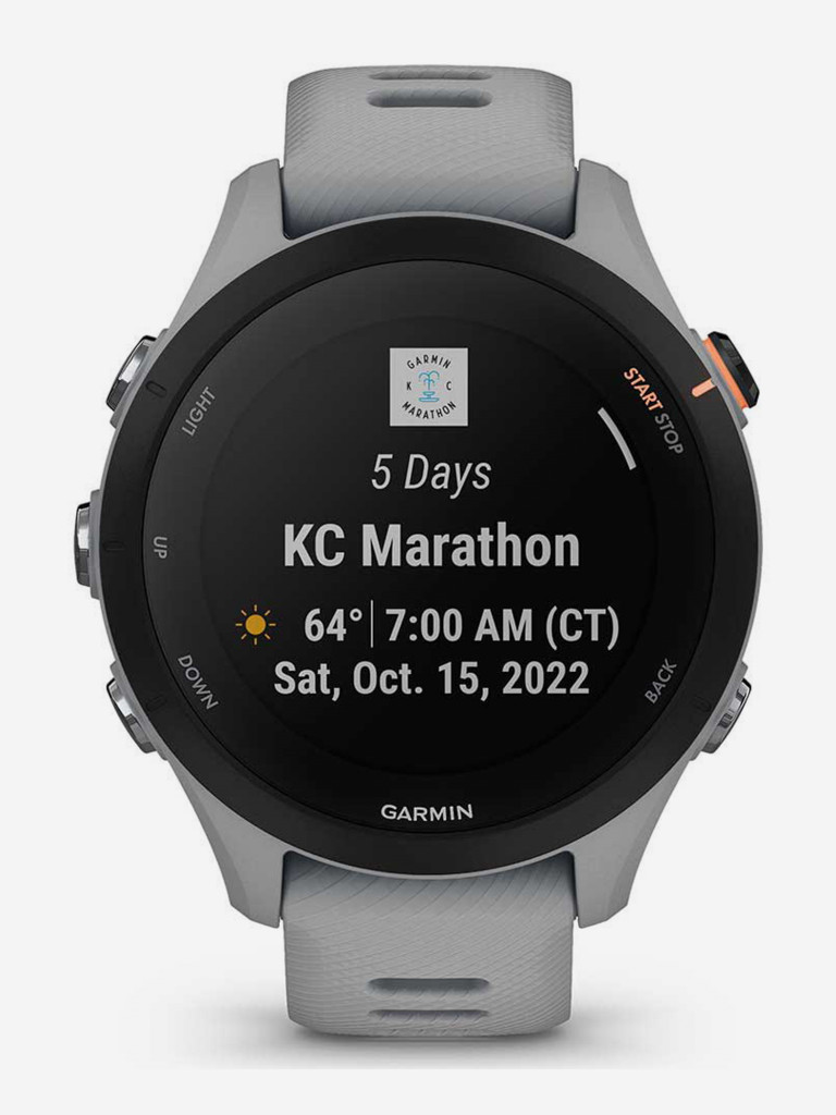 Спортивные часы Garmin Forerunner 255S Powder Grey со светло-серым ремешком