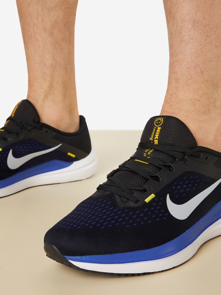 Кроссовки мужские Nike Air Winflo 10