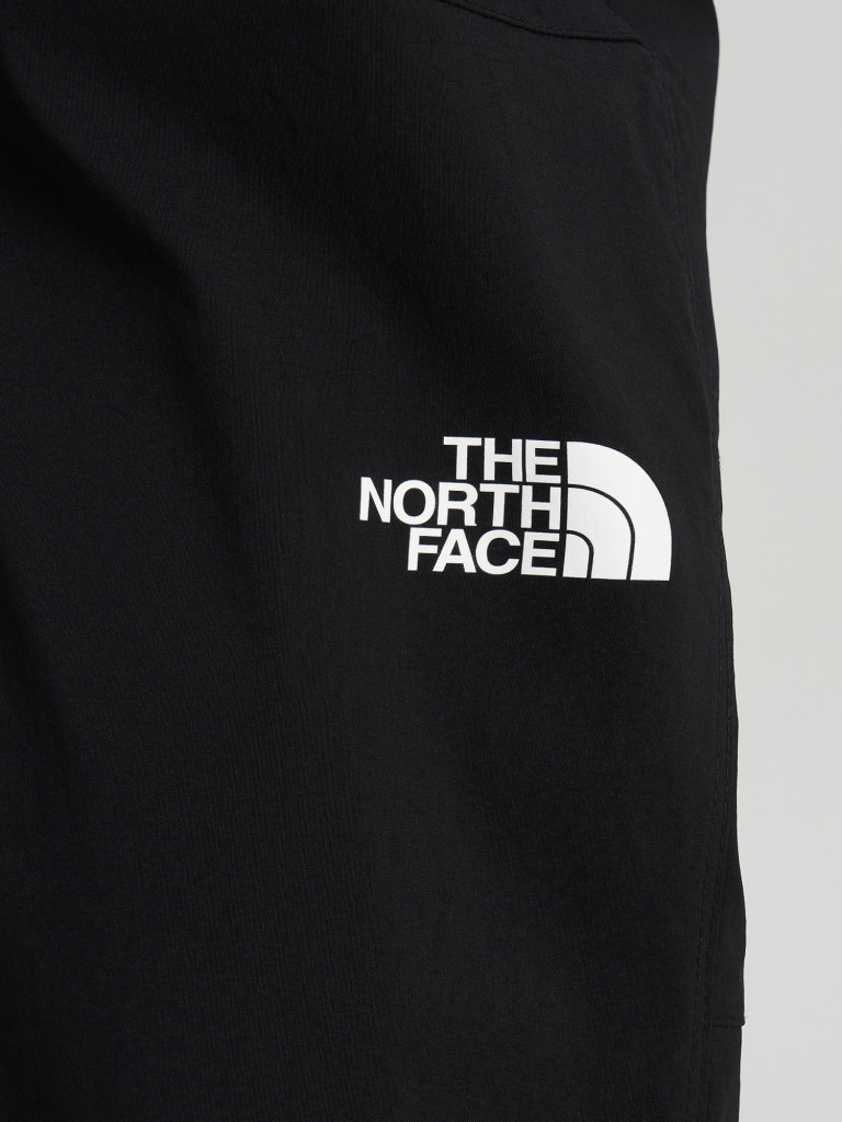 Брюки мужские The North Face Exploration