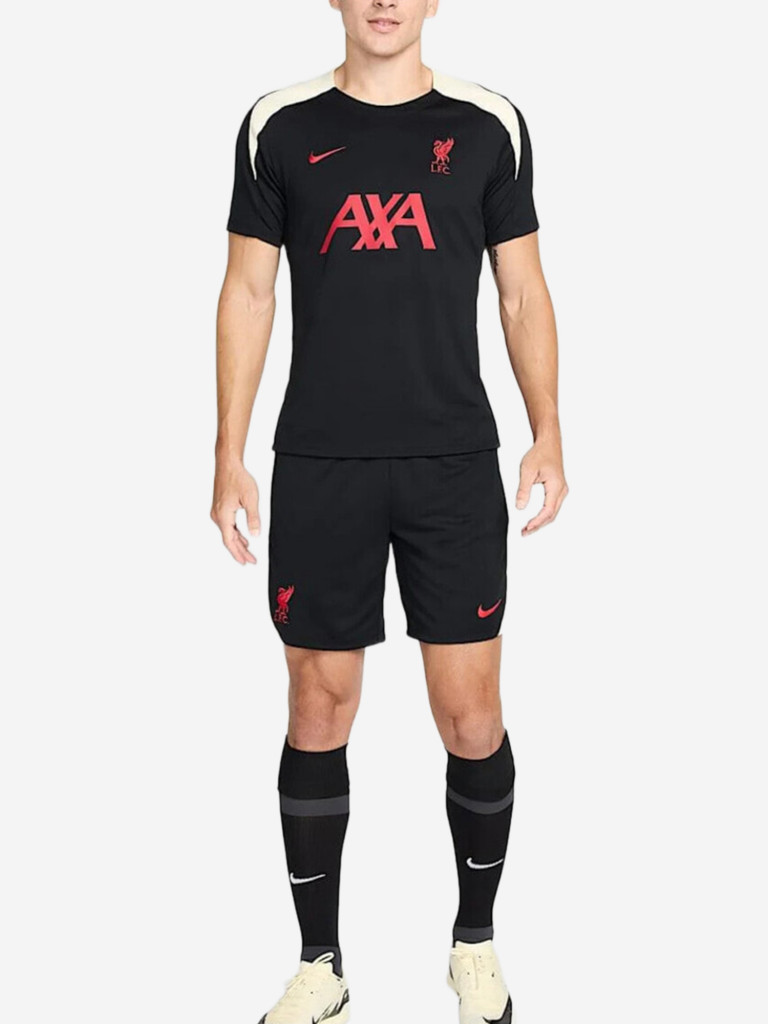 Футболка спортивная мужская Nike Liverpool F.C. Strike Special Edition Dri FIT