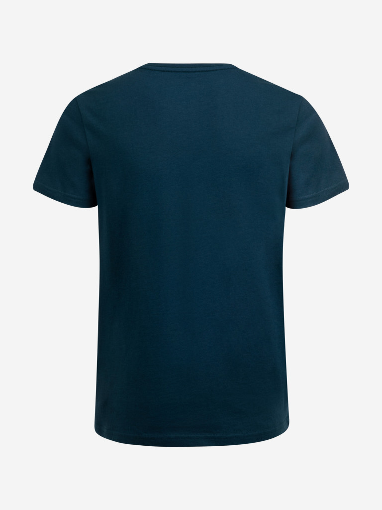 Футболка для мальчиков Quiksilver Oversized