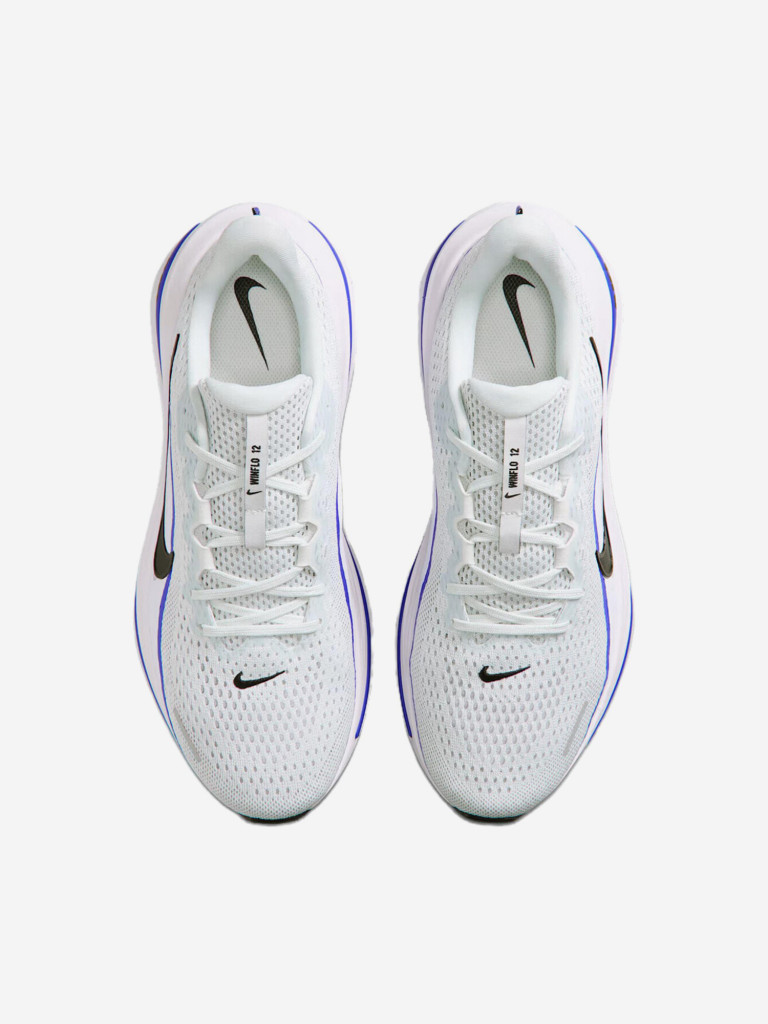 Кроссовки мужские Nike Winflo 12
