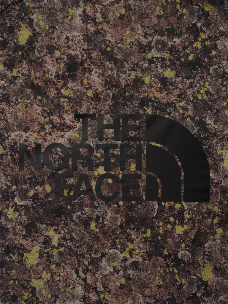 Палатка 3-местная The North Face Homestead Domey 3