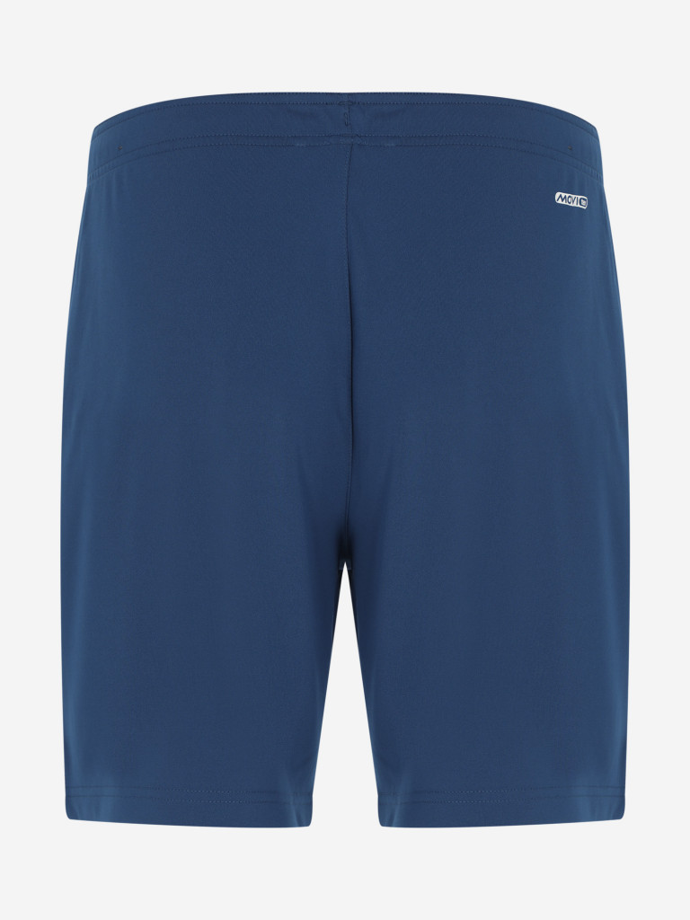 Шорты мужские Demix Legacy