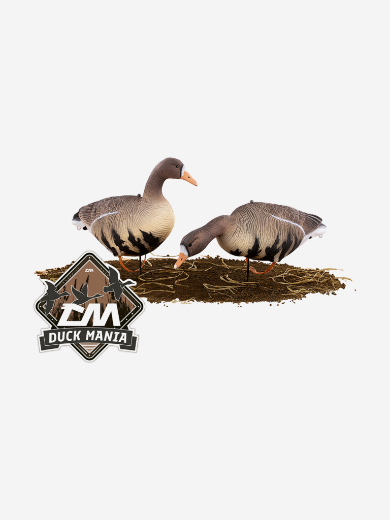 Чучела полевые гусей Softplast, белолобый гусь 10 шт.