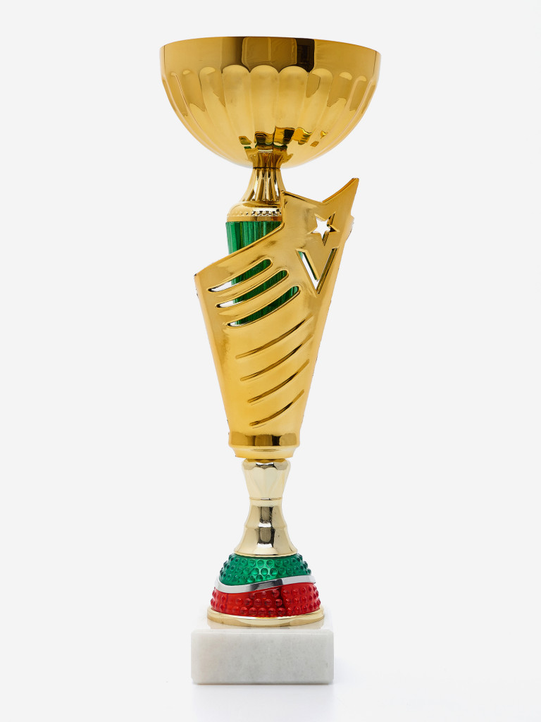 Спортивный кубок для награждения победителя 33.5 см