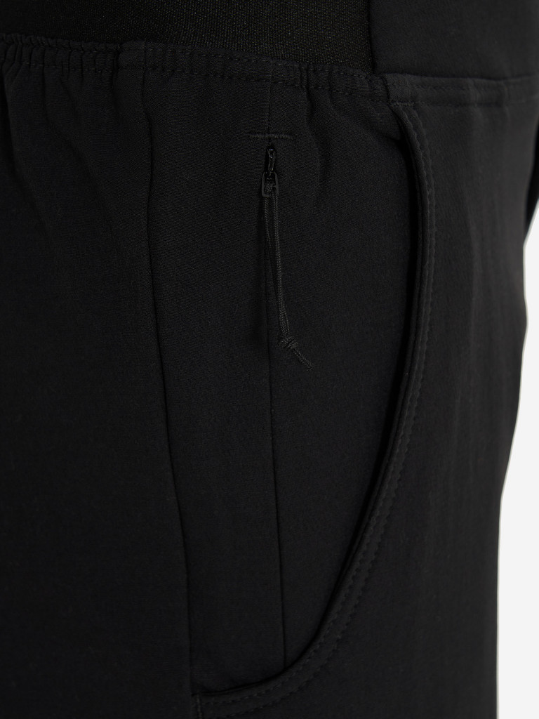 Брюки софтшелл женские The North Face Quest Softshell