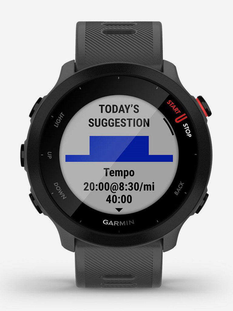 Спортивные наручные часы Garmin Forerunner 55 Monterra Grey