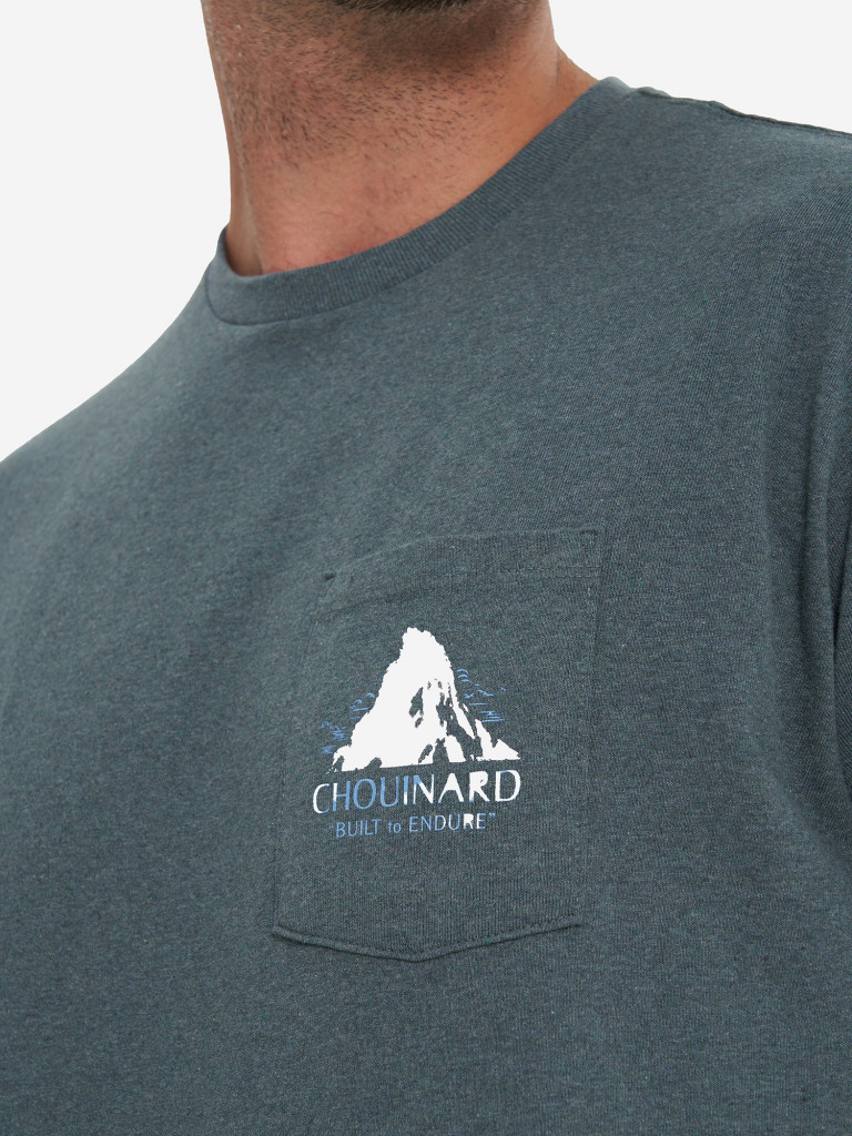 Футболка мужская Patagonia Chouinard Crest