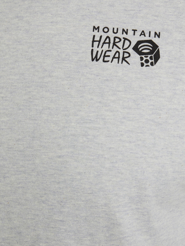 Лонгслив мужской Mountain Hardwear Logo in a Box Long Sleeve