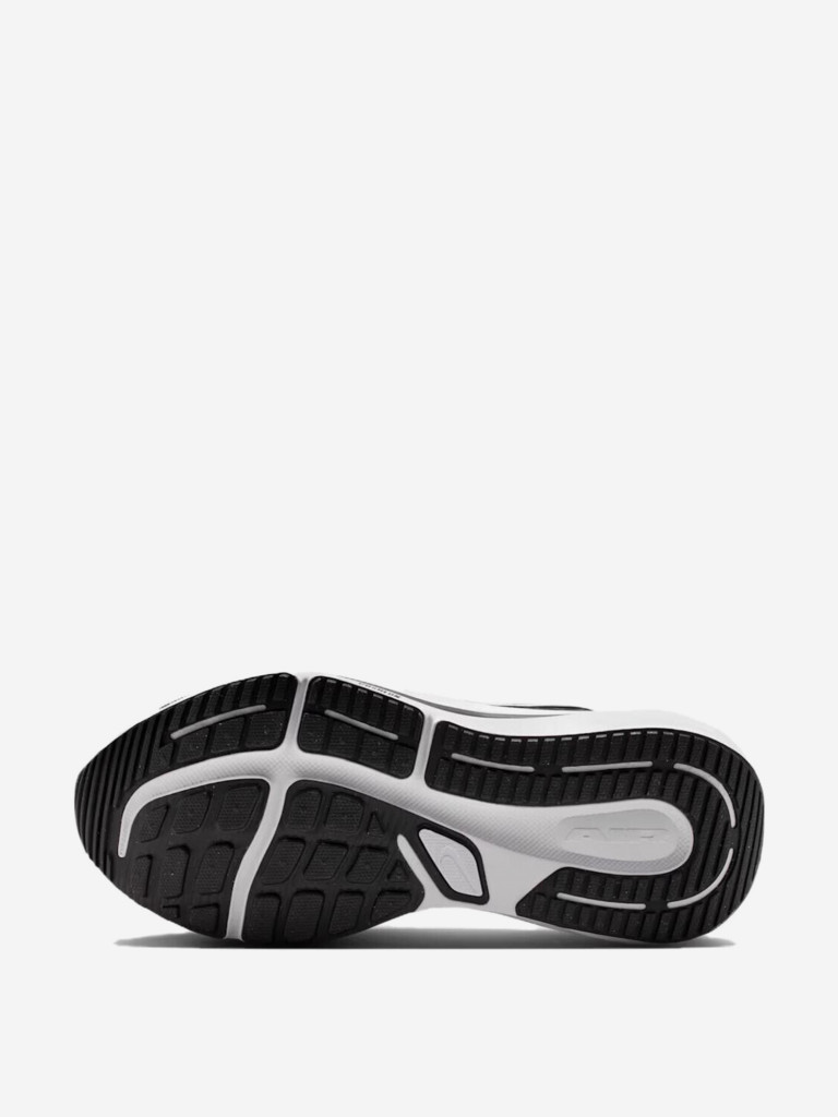 Кроссовки мужские Nike Winflo 12