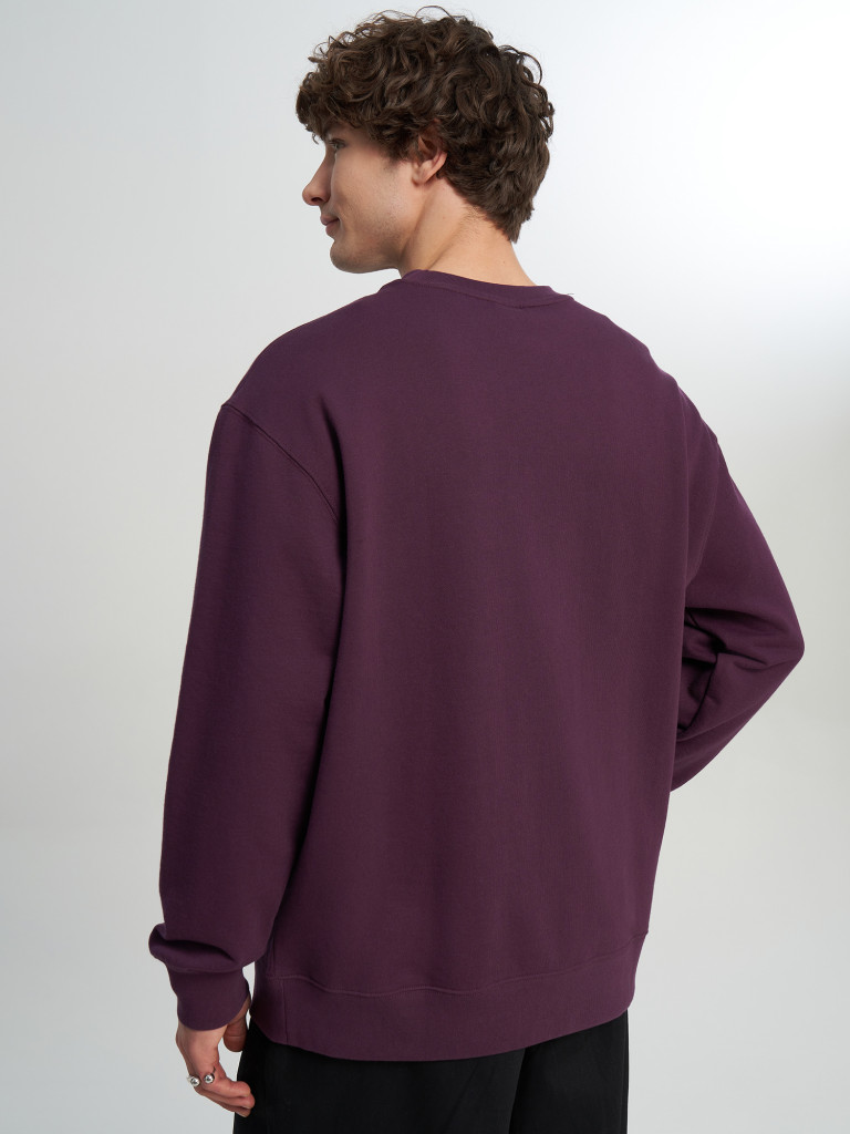 Свитшот мужской оверсайз Quiksilver Mercury Trident Crew