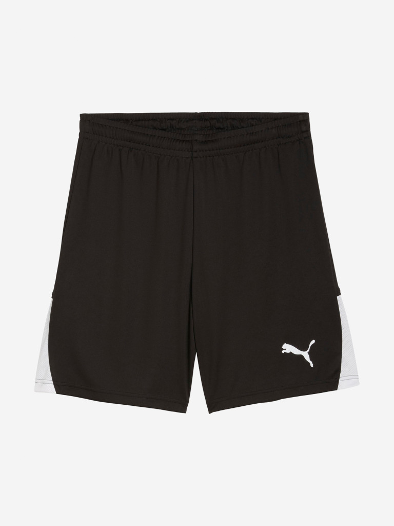 Шорты мужские PUMA Teamliga26