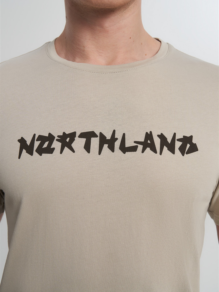 Футболка мужская Northland