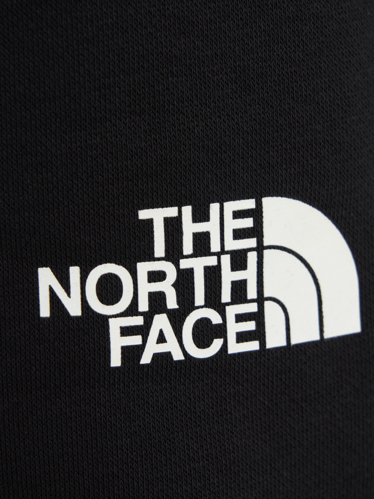 Брюки мужские The North Face Fine