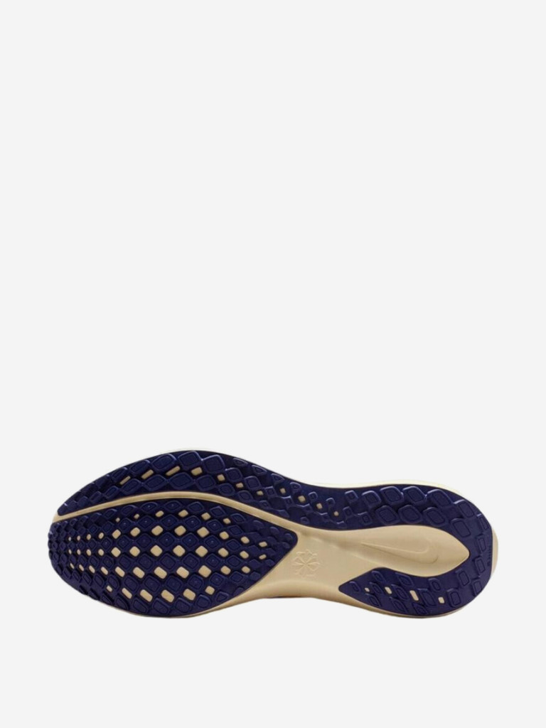 Кроссовки мужские Nike Pegasus 41