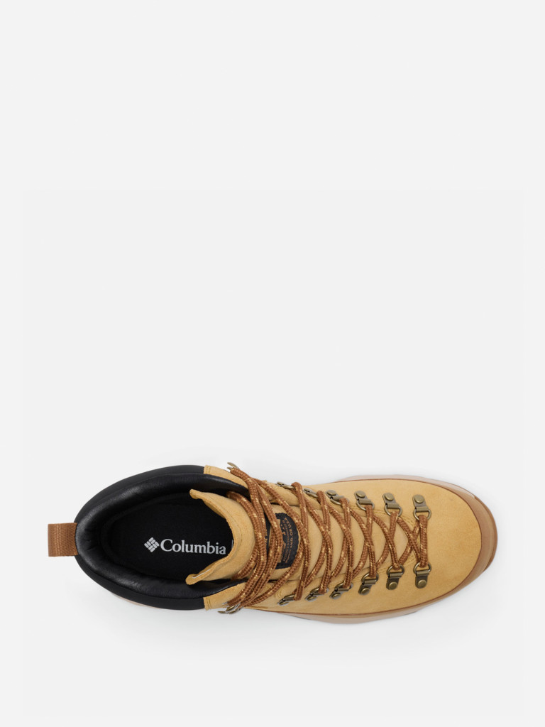 Ботинки мужские Columbia Newton Alpine Pt™