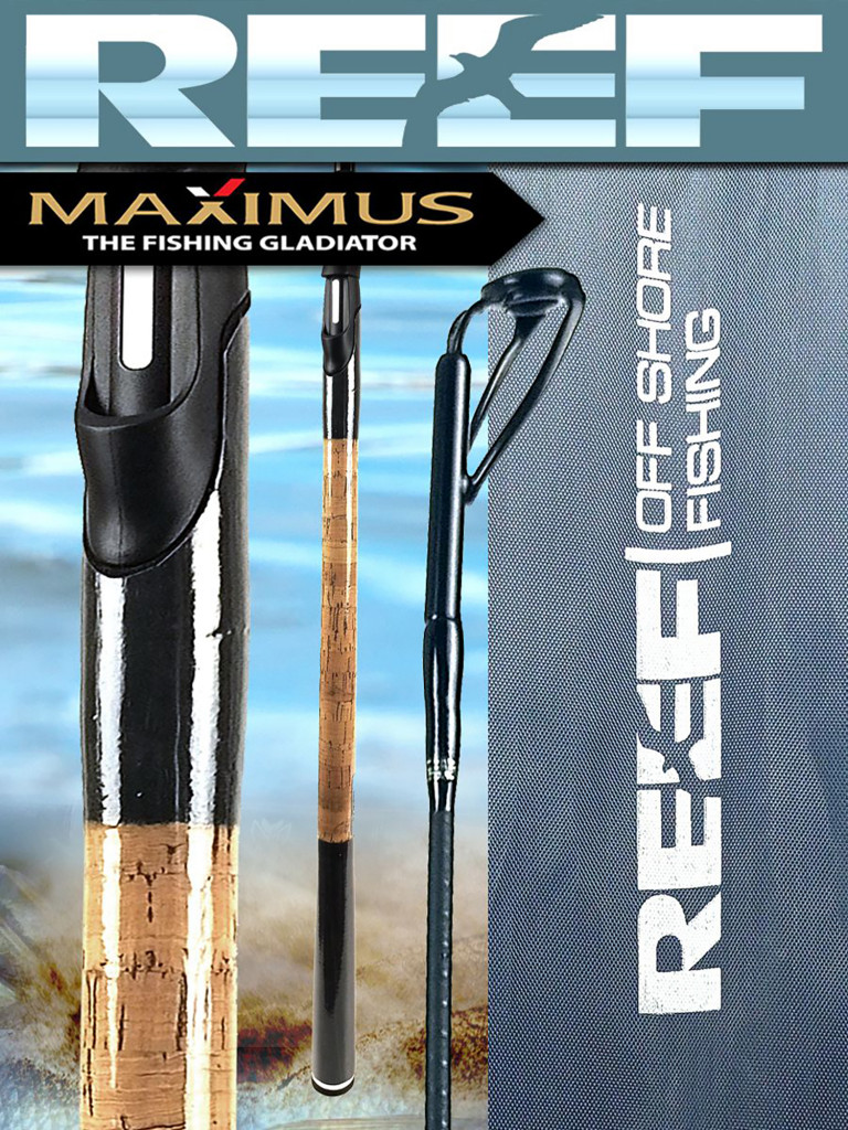 Спиннинг для рыбалки Maximus REEF 393MH 3,9 м 17-50 g