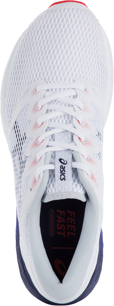 Кроссовки мужские ASICS Roadhawk FF 2