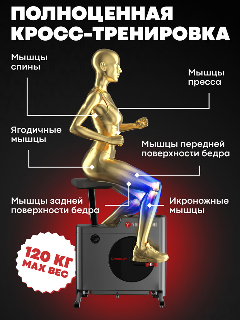 Велотренажер Yamaguchi Crossway